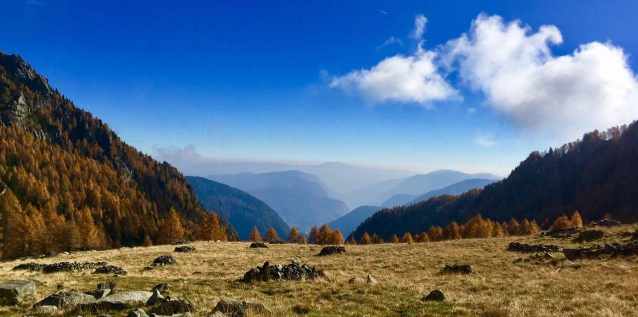Taxus Hostel Pieve Tesino Zewnętrze zdjęcie