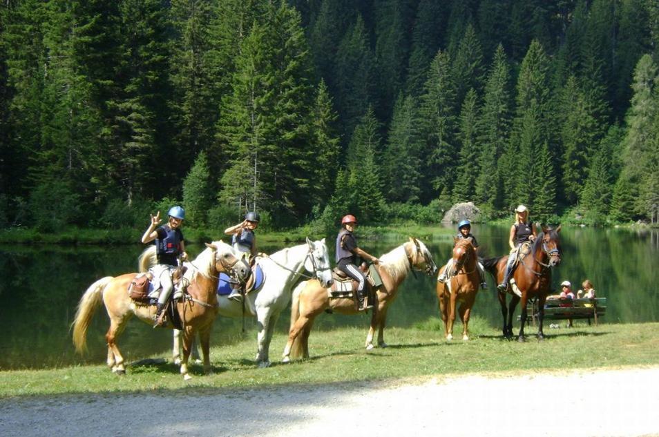 Taxus Hostel Pieve Tesino Zewnętrze zdjęcie