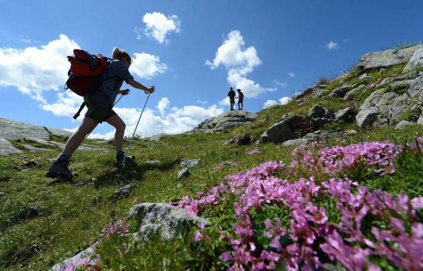 Taxus Hostel Pieve Tesino Zewnętrze zdjęcie