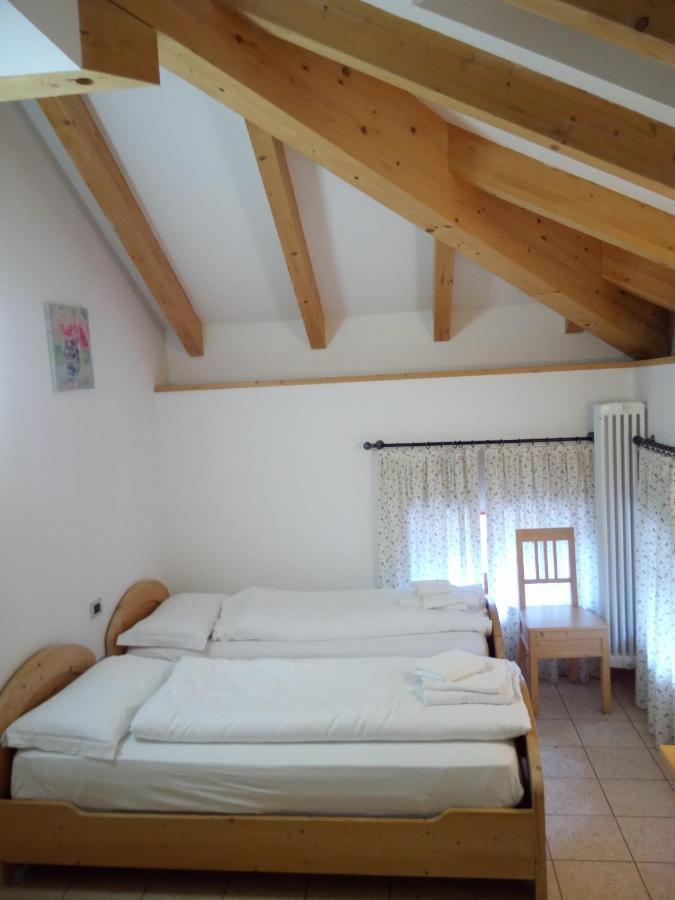 Taxus Hostel Pieve Tesino Zewnętrze zdjęcie